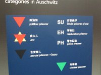 aushwitz prisoner tattoo code  Notification about the status of Jews.